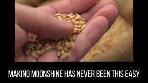 easy cornmeal moonshine recipe