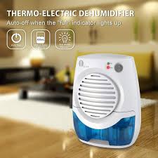 Learn how to prevent mold in a damp basement. Bedroom Basement Mold Moisture In Home Garage 1byone Electric Mini Dehumidifier Compact And Portable For Damp Air Caravan Kitchen Auto Shut Off Blue Office Dehumidifiers Automotive Mhiberlin De