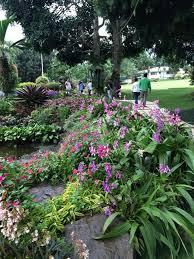 in the garden of eden city philippines