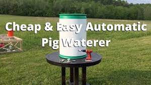 automatic pig waterer drinker