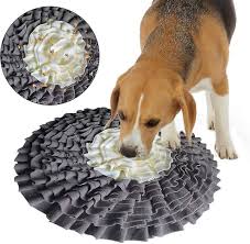 sniffing carpet for dogs smelling