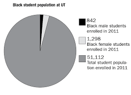 Black Student Pie Chart The Daily Texan