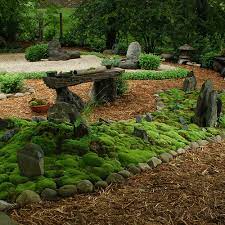 Tips For Creating A Moss Garden