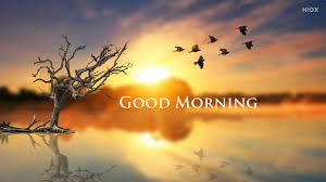 good morning images hd hdimages pics