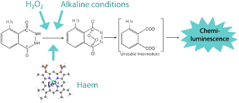 the chemistry of bluestar forensic