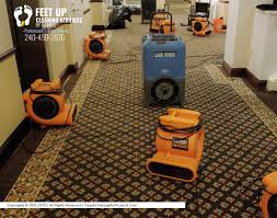 feet up carpet cleaning of laurel