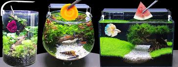 DIY Aquarium Fish Tank Ideas - MR DECOR - Home | Facebook gambar png