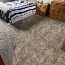 top 10 best carpet cleaning pet stains