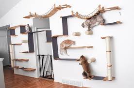 How To Install Diy Cat Shelves