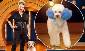Dog boarding, daycare, grooming and training in king of prussia, pa. Bbc Show Pooch Perfect Is Slammed For Sending Worrying Message After Dogs Dyed Bright Colours Daily Mail Online