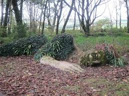 picture of the lost gardens of heligan