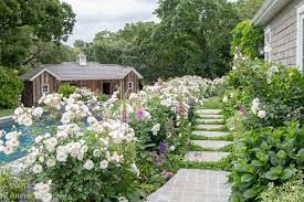 Tour Our Country Garden In Full Bloom