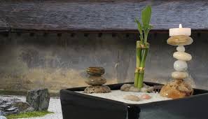 Best Zen Plants Zen Planters Ideas