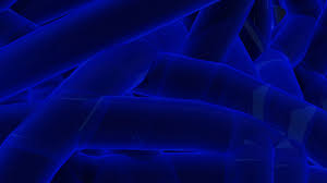 Neon Blue Wallpapers - Top Free Neon ...