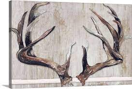 Trophy Antlers Wall Art Canvas Prints