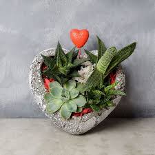 Rock Garden Succulents Of Love Fl