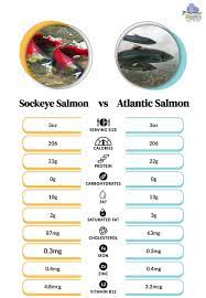 sockeye vs atlantic salmon key