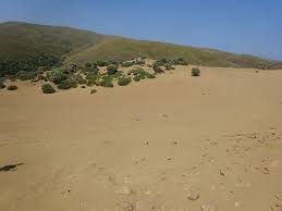 Definitely the nicest desert to settle in, as it is only 3 kilometers away. Sand Dunes Lemnos Greece Picture Of Sand Dunes Lemnos Tripadvisor