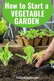 If you are wondering what to do with your. How To Start A Vegetable Garden 8 Easy Steps Trillium Living Starting A Vegetable Garden Companion Planting Chart Companion Planting