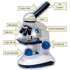 Image result for microscope