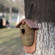 Attract Hummingbirds Homemade Bird Houses