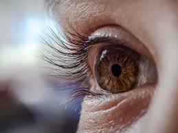 dry eyelids symptoms causes
