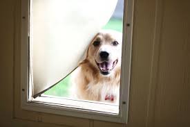 How To Install A Doggy Door Homeserve Usa