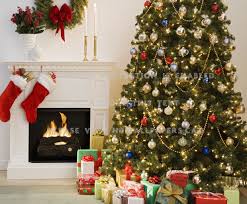 Christmas comes with merriment, joys and ecstasy. Cozy Christmas Living Room Tree Fire Place