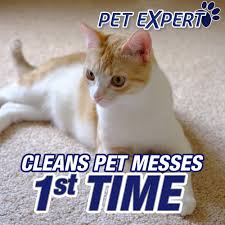 resolve pet expert spot remover foam 22