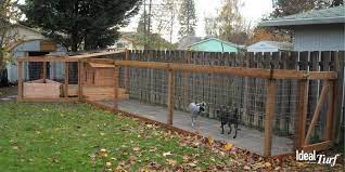 dog run ideas definitive guide to