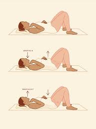 the 1 exercise for the pelvic floor