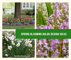 spring blooming bulbs design ideas