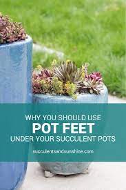 Use Pot Feet For Succulent Container