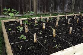 A Beginner S Guide To Square Foot Gardening