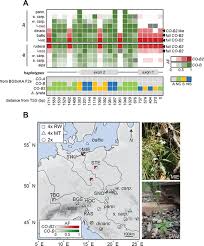 New subreddit after name change: Genetic Basis And Evolution Of Rapid Cycling In Railway Populations Of Tetraploid Arabidopsis Arenosa