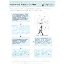 Blood Flow Changes In The Brain