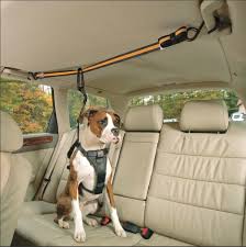 Kurgo Auto Zip Line Adjustable Dog