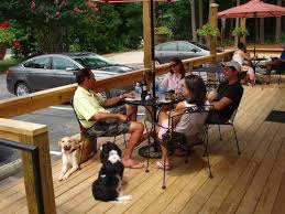 top 11 dog friendly restaurants