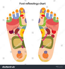 Foot Reflexology Chart Acupuncture Points On Stock Vector