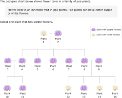 Ixl Read A Plant Pedigree Chart 5th Grade Science