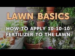 10 10 10 fertilizer to the lawn