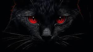 mysterious red e black cat hd wallpaper