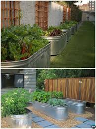 Garden Ideas For Vegetable