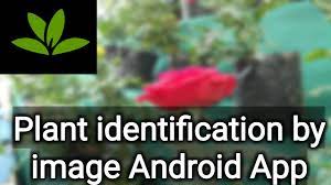 The apps are self contained and do not use the internet. Planet Plant Identification By Image Android App Youtube