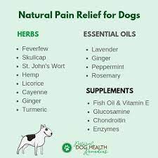 herbal pain remes for dogs natural