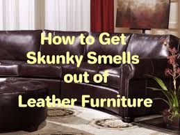 stinky smells out of leather furniture
