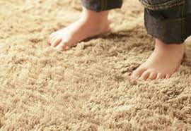 carpet carpet flooring liquidators