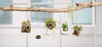 How To Make A Hanging Garden