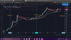 Upcoming Bitcoin Halving Of May 2020 Focal Point Of The