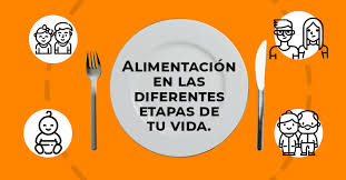 alimentación en las difees etapas